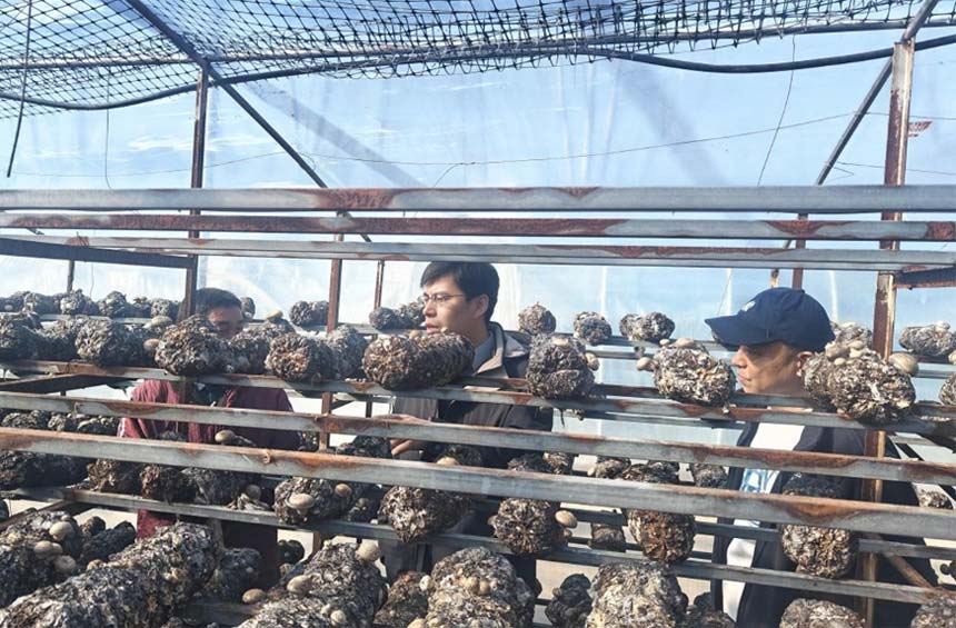 1771988659857279.jpg 005.jpg